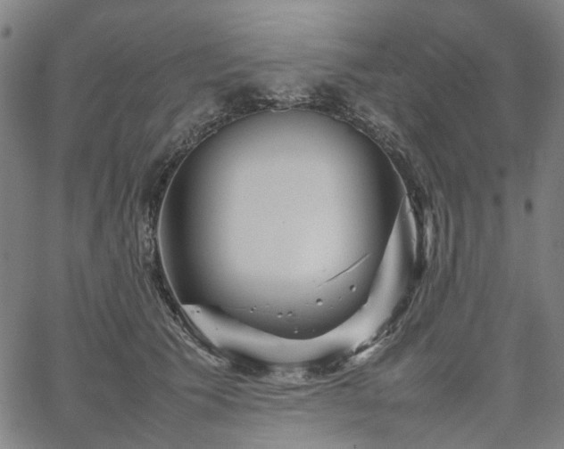 X0000067890609200604201311