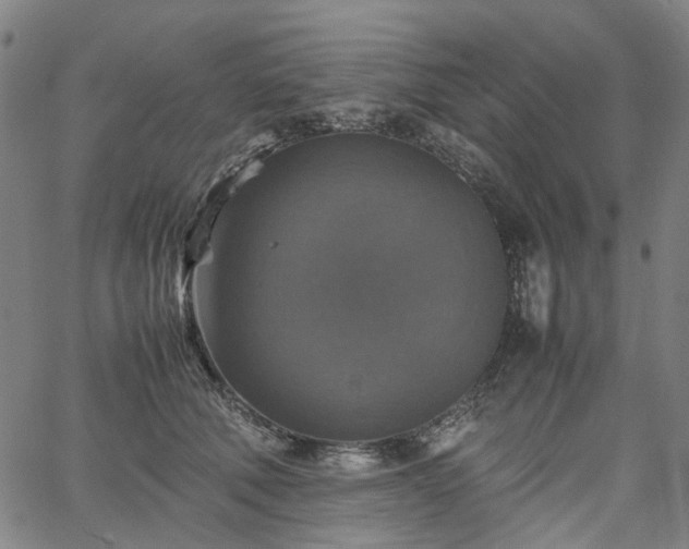 X0000067890610200604201311