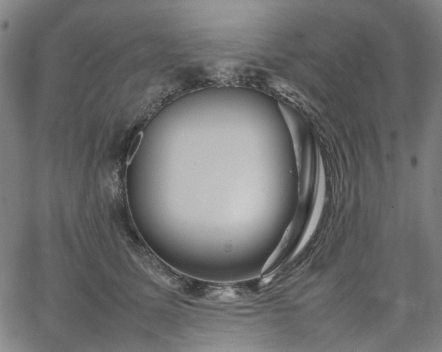 X0000067890611200604201311