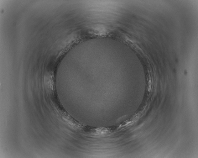 X0000067890612200604201311