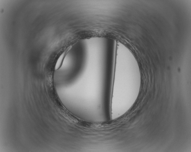 X0000067890613200604201311