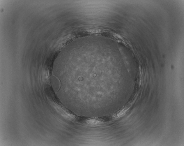 X0000067890614200604201311