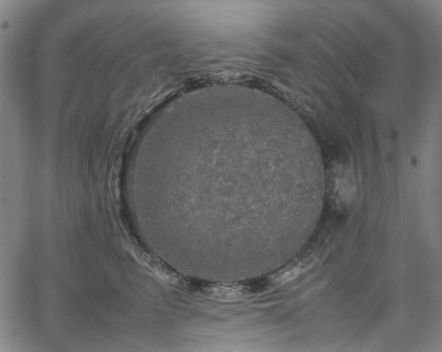 X0000067890615200604201311