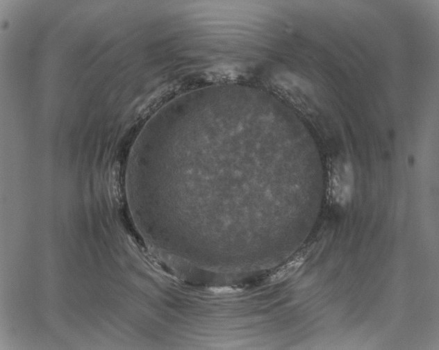 X0000067890616200604201311