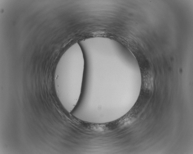 X0000067890618200604201311