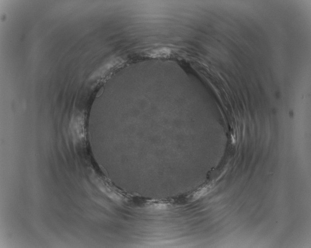 X0000067890620200604201311