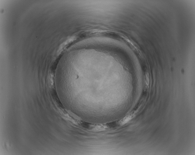 X0000067890621200604201311