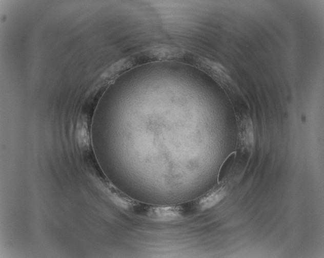 X0000067890622200604201311