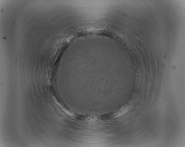 X0000067890624200604201311