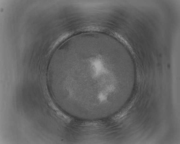 X0000067890625200604201310