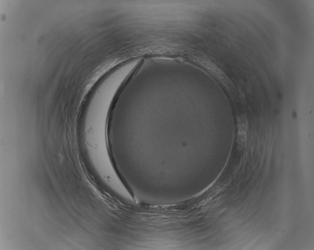 X0000067890626200604201310