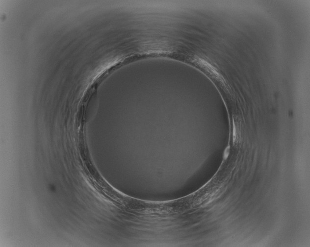 X0000067890627200604201310