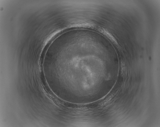 X0000067890628200604201310