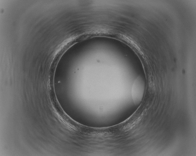 X0000067890629200604201310