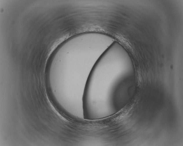 X0000067890630200604201310