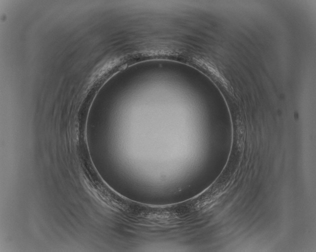 X0000067890631200604201310