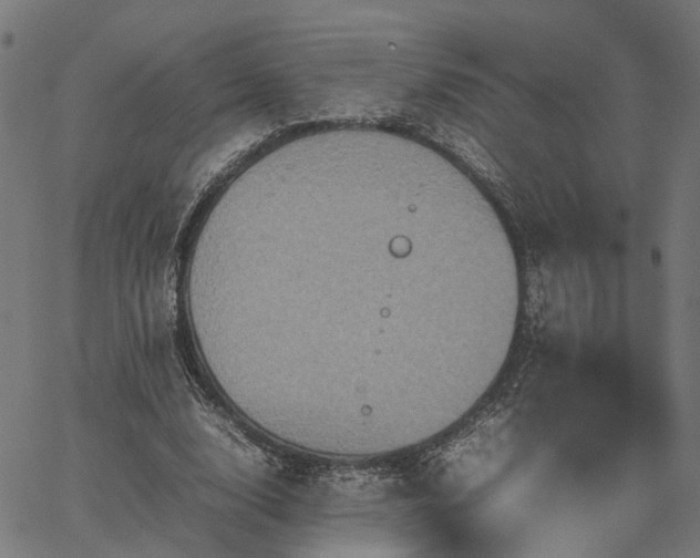 X0000067890632200604201310