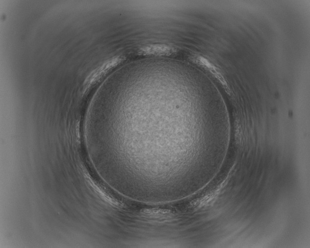 X0000067890633200604201310