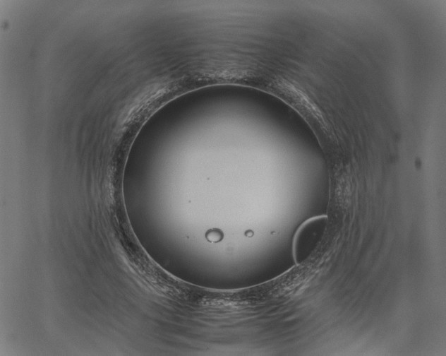 X0000067890635200604201310