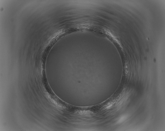 X0000067890637200604201310