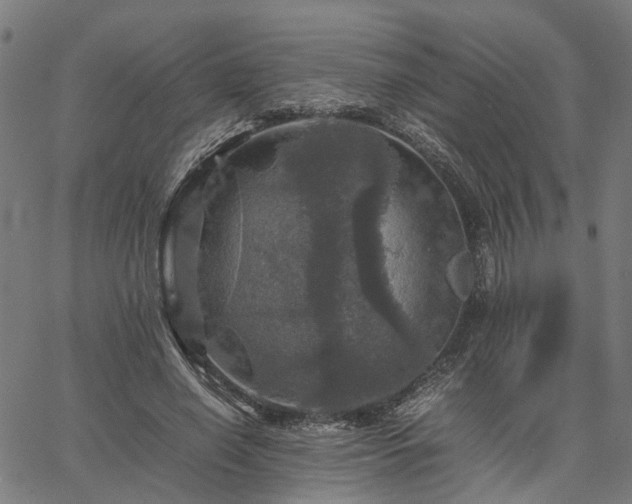 X0000067890638200604201310