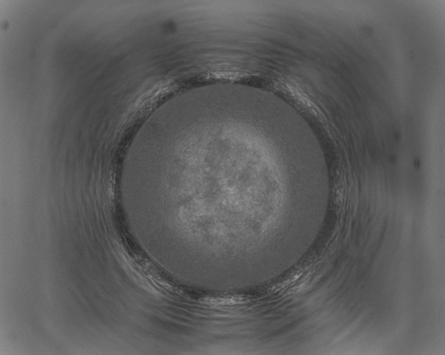 X0000067890639200604201310