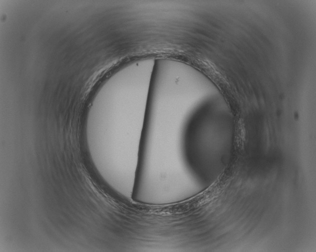 X0000067890640200604201310