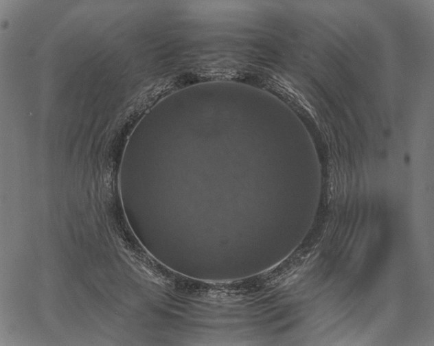 X0000067890641200604201310