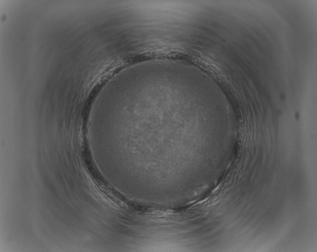 X0000067890642200604201310