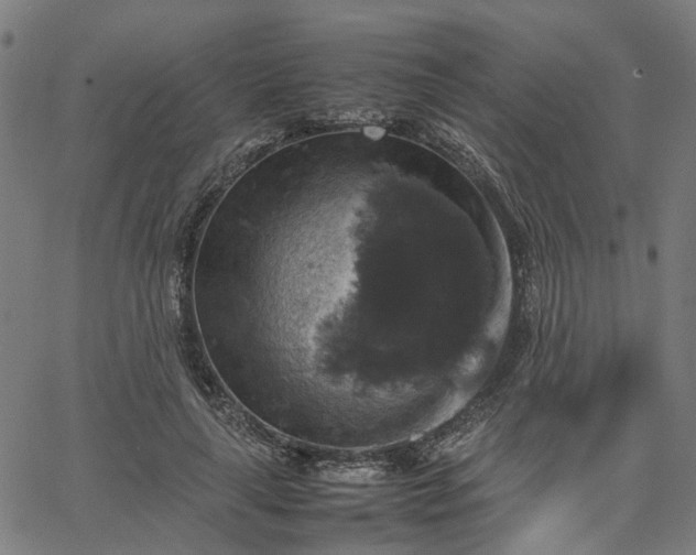 X0000067890643200604201310