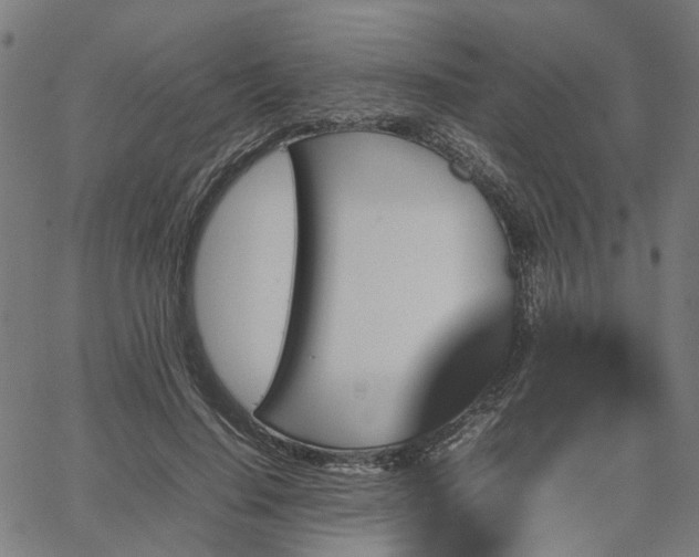 X0000067890644200604201310