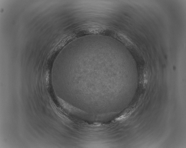 X0000067890646200604201310