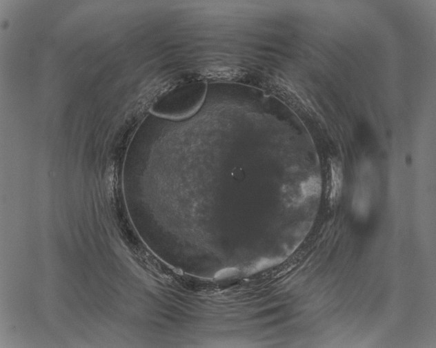 X0000067890647200604201310