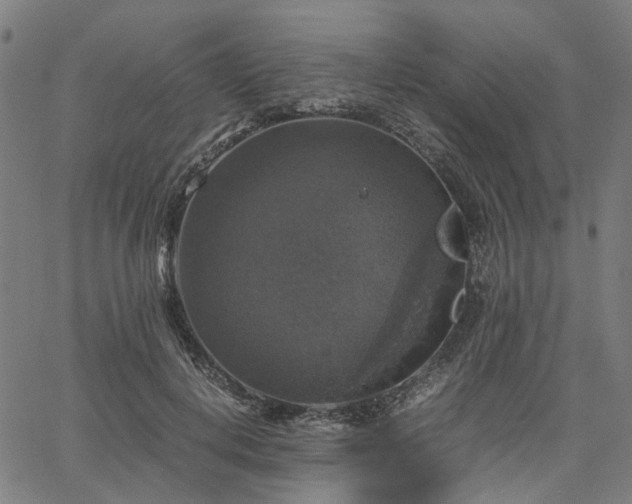 X0000067890648200604201310