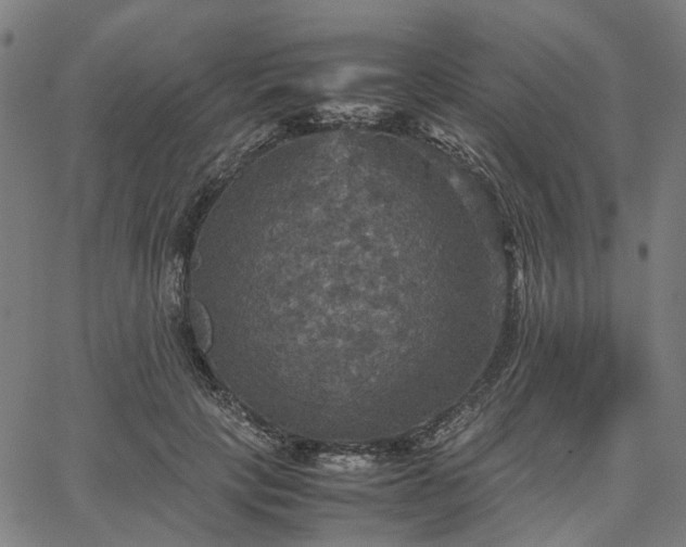 X0000067890649200604201310