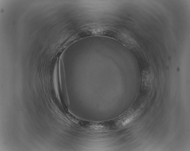 X0000067890650200604201310