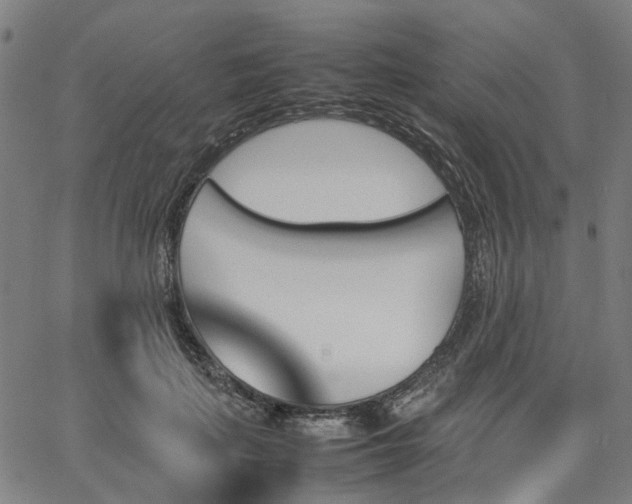 X0000067890651200604201310