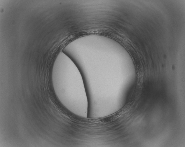 X0000067890652200604201310