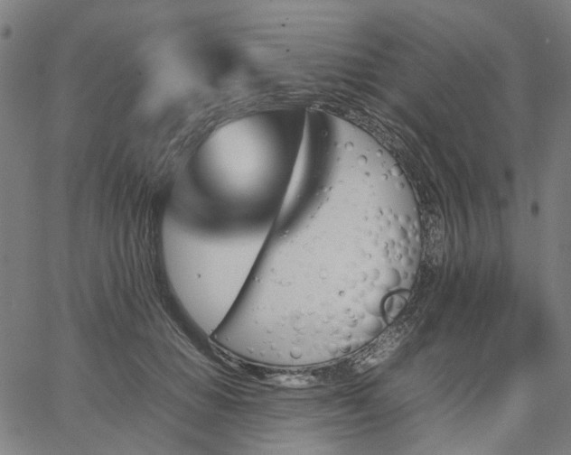 X0000067890654200604201310