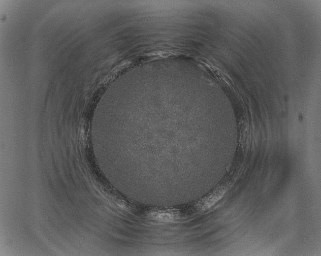 X0000067890655200604201310