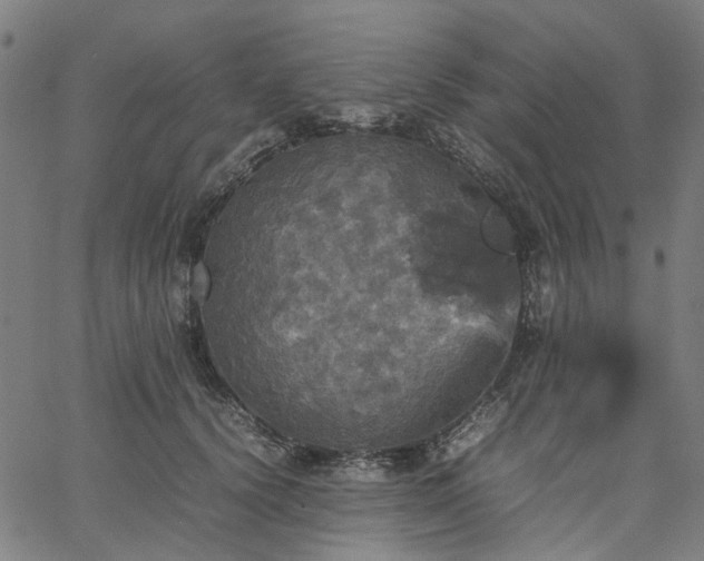 X0000067890656200604201310