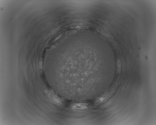 X0000067890657200604201310