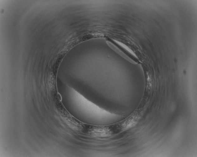 X0000067890659200604201310