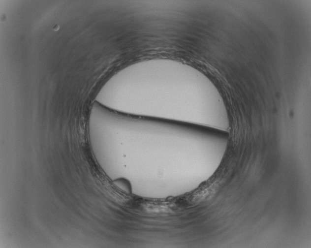 X0000067890661200604201310