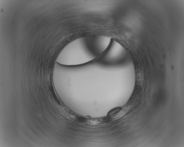 X0000067890662200604201310