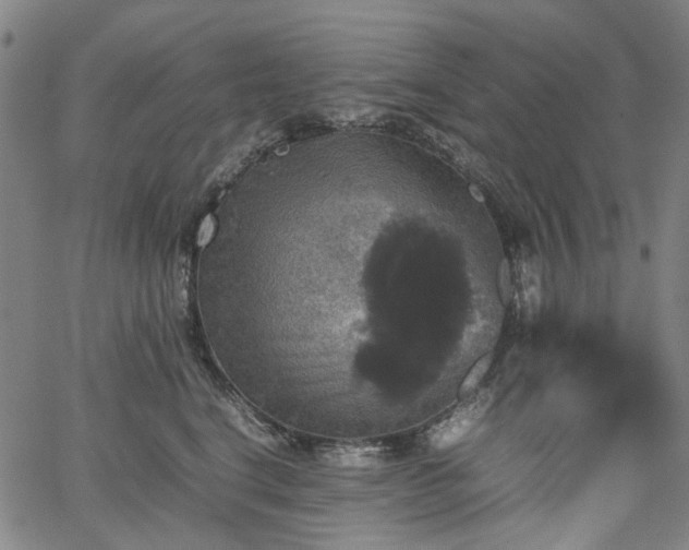 X0000067890664200604201310