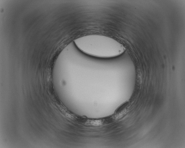 X0000067890665200604201310