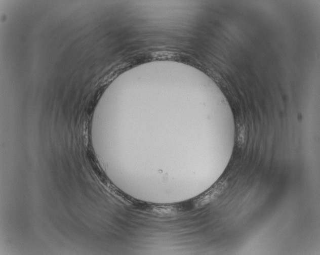 X0000067890666200604201310