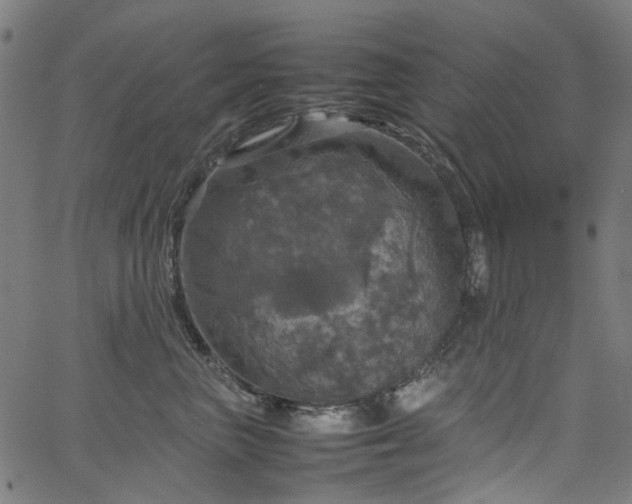 X0000067890667200604201310