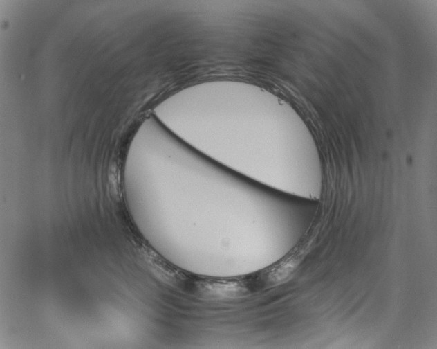 X0000067890669200604201310